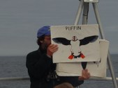 Puffin Cruise