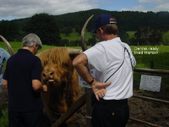 Enlarge photo 16