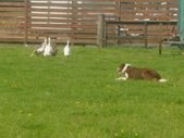 Enlarge photo 13