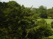 Enlarge photo 39
