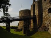 Enlarge photo 55