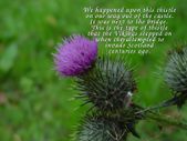 Enlarge photo 56