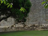 Enlarge photo 57