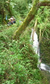 Enlarge photo 40