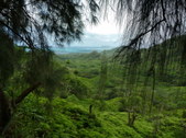 Enlarge photo 42