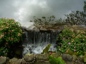 Enlarge photo 45