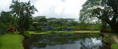 Enlarge photo 46