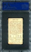 Enlarge photo 478