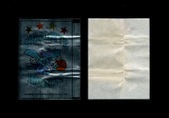 Enlarge photo 91