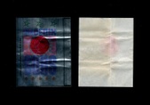 Enlarge photo 107
