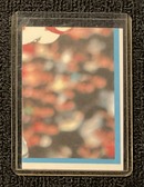Enlarge photo 39