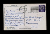 Enlarge photo 113