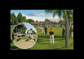 Enlarge photo 35