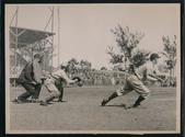 Enlarge photo 49