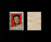 Enlarge photo 66