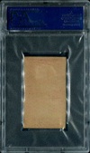 Enlarge photo 54