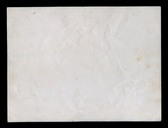 Enlarge photo 137
