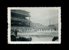 Enlarge photo 192