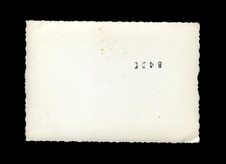 Enlarge photo 193