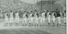 Enlarge photo 194