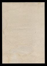 Enlarge photo 217