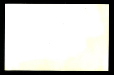 Enlarge photo 233