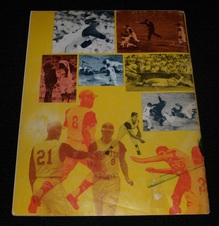 Enlarge photo 264