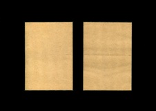 Enlarge photo 278