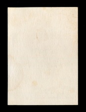 Enlarge photo 429