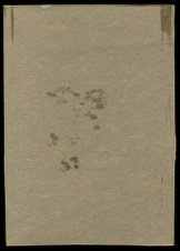 Enlarge photo 523