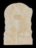 Enlarge photo 1805