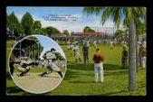 Enlarge photo 1564