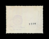 Enlarge photo 1575