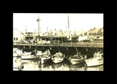 Enlarge photo 456