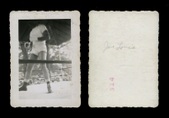 Enlarge photo 474