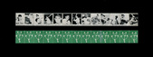 Enlarge photo 505