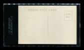 Enlarge photo 537