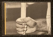 Enlarge photo 202