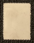 Enlarge photo 69