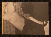 Enlarge photo 198