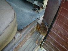 Enlarge photo 46