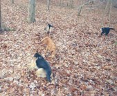Enlarge photo 3