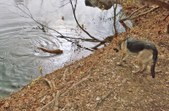 Enlarge photo 13