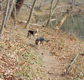Enlarge photo 14