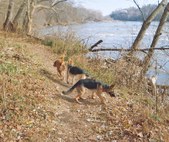Enlarge photo 15