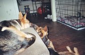 Enlarge photo 17