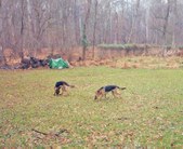 Enlarge photo 21