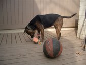 Enlarge photo 18