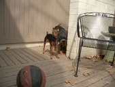 Enlarge photo 17