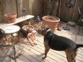 Enlarge photo 14